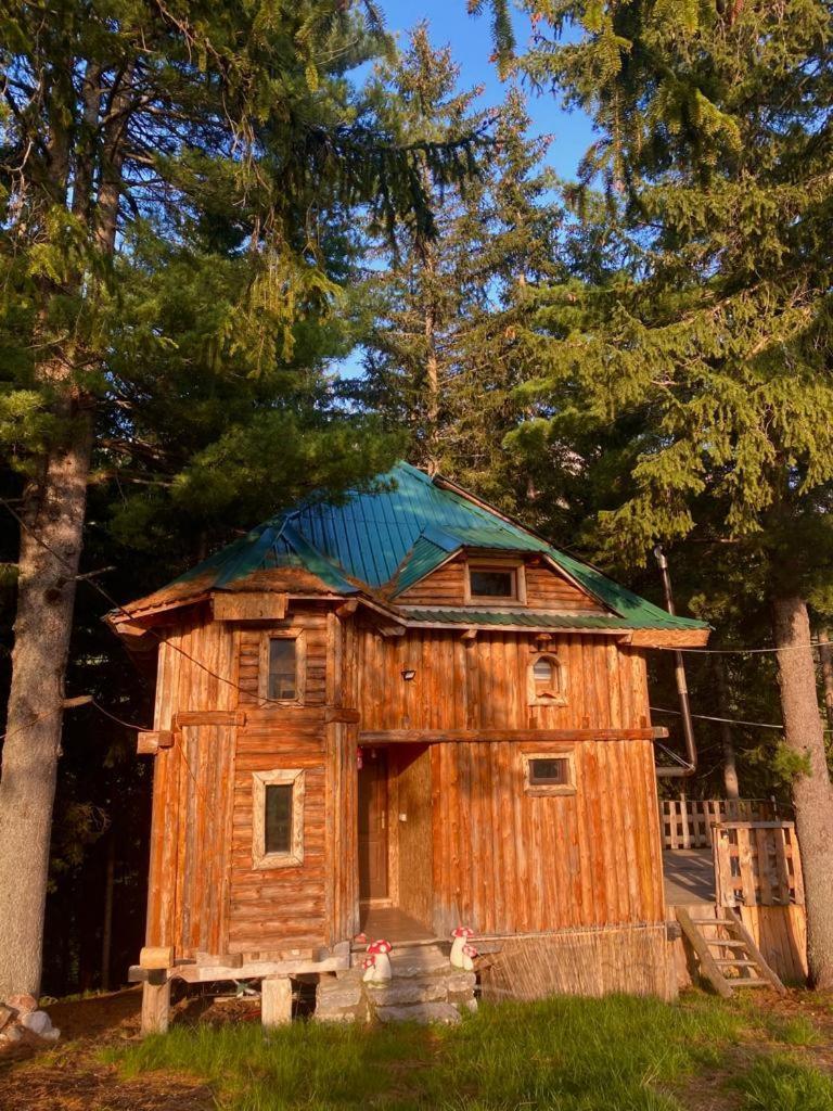 Pinetrees Lodge Plav Exterior foto